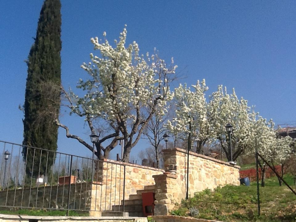 Casatorta Bed & Breakfast Vicchio Luaran gambar